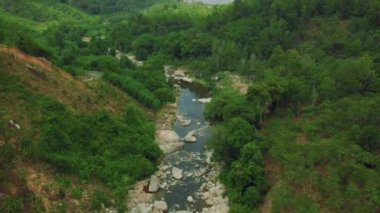 Asya kırsalındaki güzel orman nehri manzarası yemyeşil..