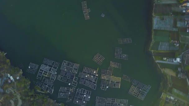 Vue par drone du lac vert dans la zone rurale avec ferme piscicole flottante . — Video