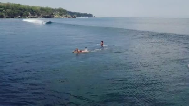 Una surfista hembra remando tabla de surf en el océano y monta una gran ola en verano . — Vídeo de stock