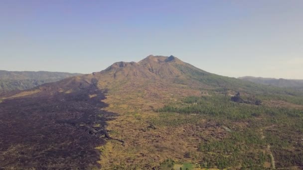 Aerial view of mountain slope with solidified lava flow partly burnt bushes. — Stock Video