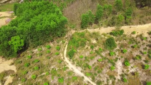 Motociclista professionista che guida su un piccolo sentiero sterrato in montagna — Video Stock