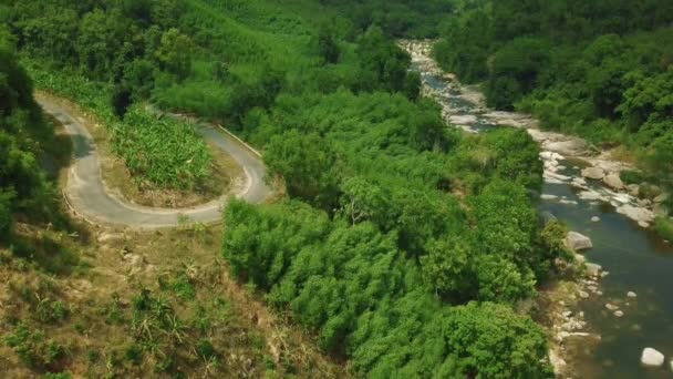 Drone uitzicht op een schilderachtige bos rivier in de bergen met een bocht landelijke weg. — Stockvideo