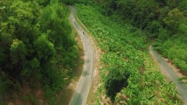 Pengendara sepeda motor mengendarai sepeda melintasi jalan melengkung di gunung dengan tanaman hijau yang lebat. — Stok Video