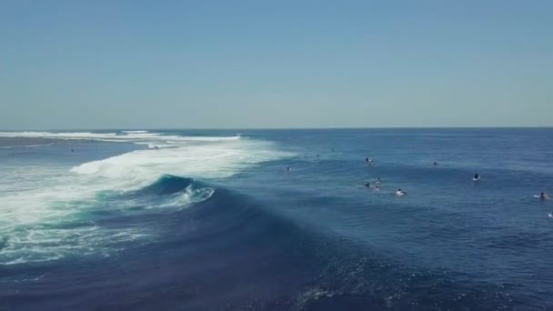 Sörf yapan ve yazın dalgalarda sörf yapmaktan hoşlanan bir grup sörfçü.. — Stok video