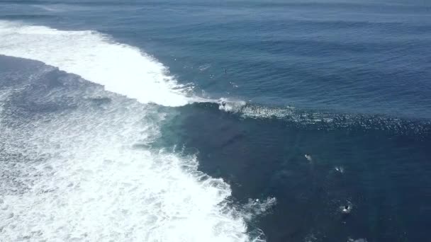 Top down view of surfers in the emerald blue sea riding waves and doing stunts. — Stock Video