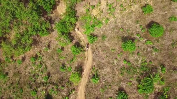 Luchtfoto van een motorrijder die over een smal zandpad rijdt. — Stockvideo