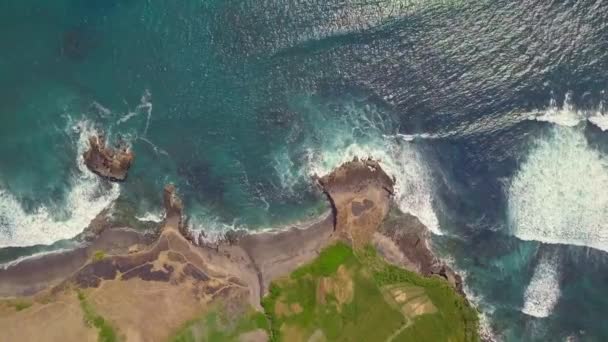 Increíble vista aérea del paisaje del campo de arroz verde cerca de la playa en el campo . — Vídeos de Stock