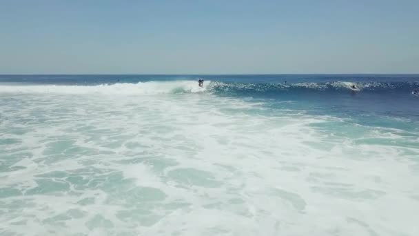男と女のサーファーが青い海で波を破る — ストック動画