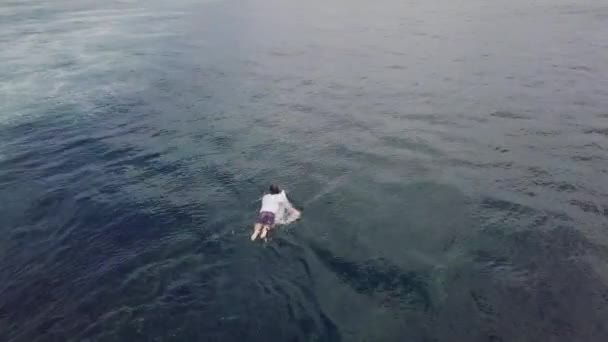 위에서 내려다보면, 서핑 보드를 타고 바다에서 노를 젓고 있는 수컷이 보인다. — 비디오