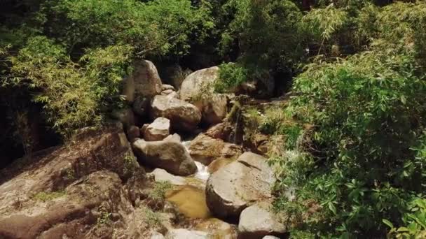 Тропические пейзажи горных речных джунглей с водой, протекающей через скалы . — стоковое видео