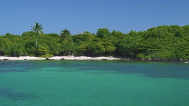 Isola paradisiaca con vegetazione tropicale, spiaggia bianca e acqua incontaminata. — Video Stock