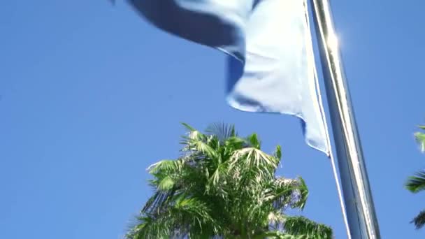 Drapeau bleu uni soufflant dans les airs avec un ciel bleu et des palmiers en arrière-plan — Video