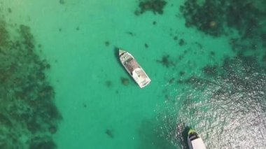 Yaz günü yeşil göldeki teknelerin üzerinden çekilen sinematik daireler..