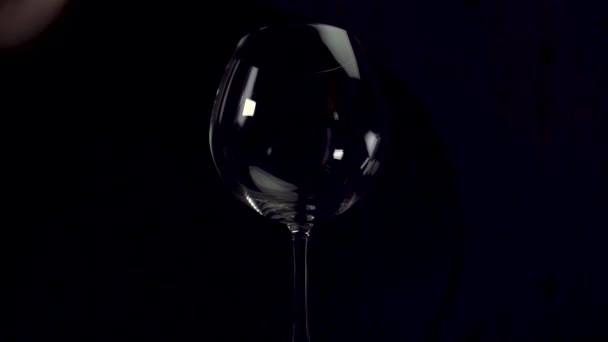 Barmans manos vertiendo cubitos de hielo en una copa de vino transparente sobre fondo oscuro . — Vídeos de Stock