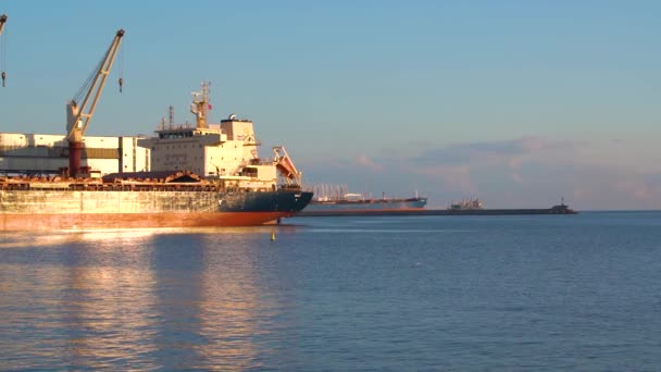 晴れた日に港に停泊する大型貨物船のリアルタイムショット. — ストック動画