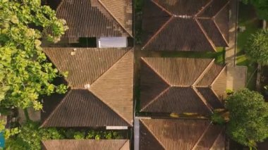 Tropikal bitkilerle çevrili villaların çatılarında hava yakınlaştırma görüntüsü.