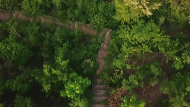 Drone fly over stairs pathway with greenery towards the coastal rocky cliff. — Stock Video