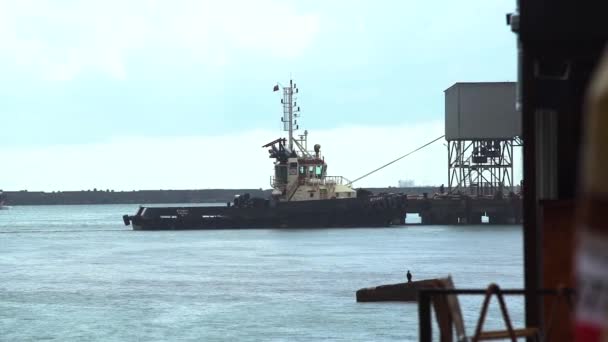 Um barco de patrulha que chega ao porto num dia chuvoso . — Vídeo de Stock