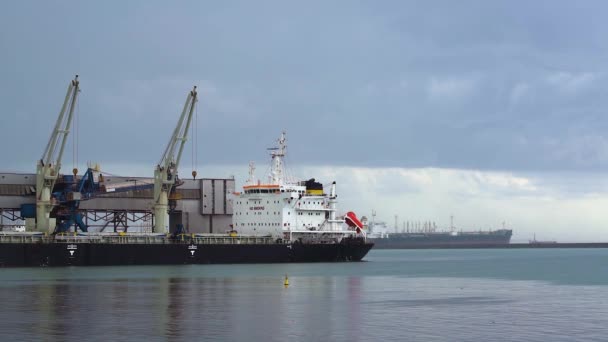 Грузовые суда причаливают в морском порту на спокойной морской воде. — стоковое видео