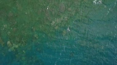 Tepeden aşağı açık mavi deniz suyunda mercan resifleri su altında görünüyor..