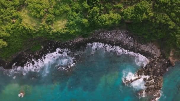 공중: 경치가 아름다운 바다 절벽, 무성 한 푸른 초목과 원시적 인 바다 — 비디오