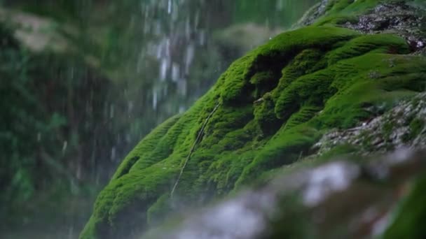 Wasserfalltropfen reflektieren helles Sonnenlicht und fallen auf Felsen — Stockvideo