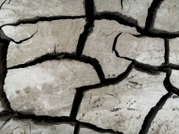 Земля Сухая Природа Трещины Текстура — стоковое фото