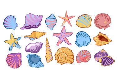Kabukların parlak çizimleri ve farklı şekil ve renklerde yıldızlar. Yaz tasarımı, deniz temaları, sahil projeleri ve çocuk resimleri için renkli dekoratif öğeler.