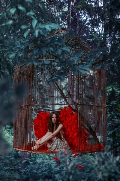 Mulher Bonita Com Asas Vermelhas Gaiola Pássaro — Fotografia de Stock