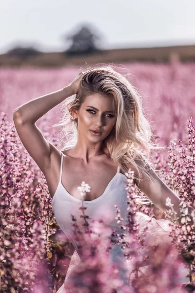 분홍색 들판의 아름다운 — 스톡 사진