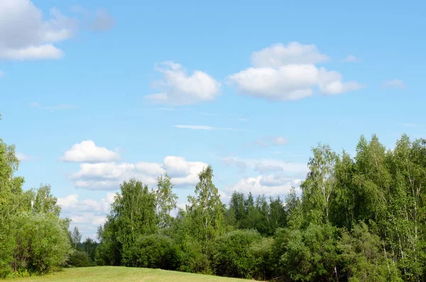 Panorama Prado Verde Con Hierba Colina Entre Los Abedules Nubes — Foto de Stock