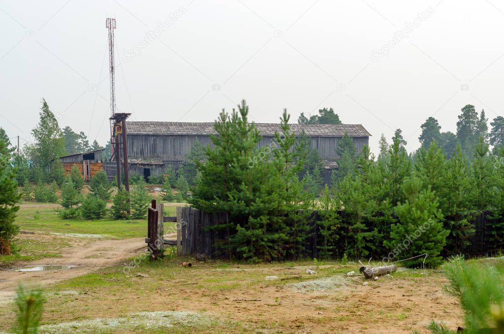 Abandoned burnt-out employees of the business a large wooden hangar is overgrown with young pine trees at the end of the road in the Northern village of Yakutia.