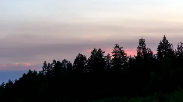 Φωτεινό Πολύχρωμο Ηλιοβασίλεμα Στην Πλαγιά Των Δασικών Δέντρων Των Γιακούτ — Φωτογραφία Αρχείου