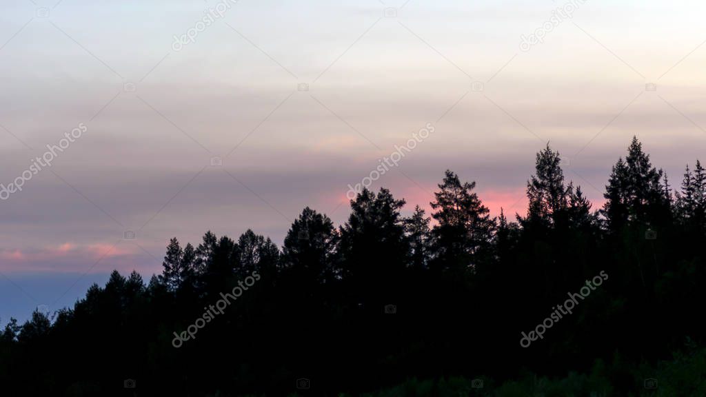 Bright colorful sunset at the slope of the forest trees of the Yakut Northern taiga.