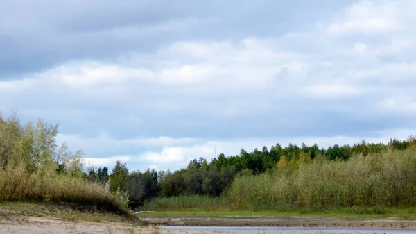 Wierzchołki Drzew Krzewów Cieniu Ciągu Dnia Pod Chmurami Pobliżu Piaszczystej — Zdjęcie stockowe