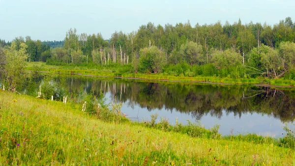 Überwuchert Mit Gras Und Birkenresten Bera Wilden Nördlichen See Mit — Stockfoto