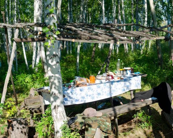 在雅库提亚的野生北部森林中 餐桌上摆着桌布和食物的餐桌 在一片明亮的天冠下 在长椅和度假者衣服的白杨树间 — 图库照片