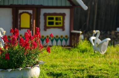 Lastik parlak renklerle bir flowerbed çocuklar için küçük bir evin arka planına karşı yeşil bir çim üzerinde duruyor ve Kuzey Yakutia köyünde bir araba tekerleğinden Beyaz Kuğu.