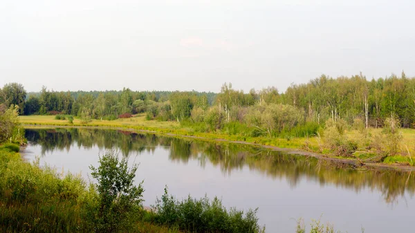 Mit Gras Und Birkenresten Bewachsener Wilder Nördlicher See Mit Einem — Stockfoto