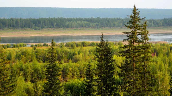 Nördlich Von Vilyuy Fluss Jakutien Herbst Fließt Fichtentundra Auf Einem — Stockfoto
