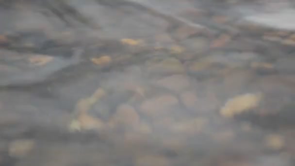 Imagen borrosa de las olas de agua del río moviéndose contra las rocas en el fondo . — Vídeos de Stock