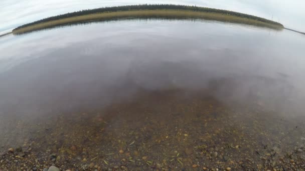 Abstracte timelapse-simulatie van de aardbol op een groothoeklens. Beweging van helder water van de rivier de Viluy met een stenen bodem in het noorden van Yakutia tegen de kust met een bos van dennenbomen. — Stockvideo