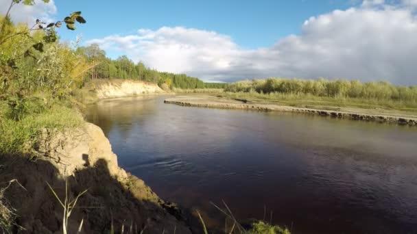 Vidéo temporelle du mouvement de l'eau d'une petite rivière avec un fond sablonneux sur le fond des arbres forestiers et des nuages avec le soleil et un rivage d'argile raide près de la forêt dans la taïga sauvage de la Russie — Video