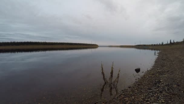 Timelapse du mouvement de l'herbe solitaire tremblante Bush dans l'eau claire de la rivière sur le fond de deux rives avec forêt et changement d'éclairage au coucher du soleil dans le nord de Yakutia . — Video