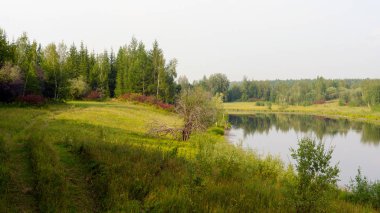 Gölgede çim ile büyümüş yol renkli seyrek Kuzey bitki örtüsü sonbaharda alan ve gölün su boyunca gider.