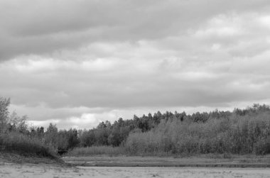 Kuzey Yakutia tundra küçük bir nehir yakınında bulutların altında gün boyunca gölgede ağaç ve çalıların üstleri siyah beyaz fotoğraf.