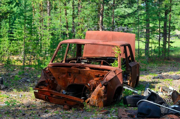 Iron rusty body of the Soviet car lies among the debris in the shade in a young spruce forest in the tundra of Yakutia.