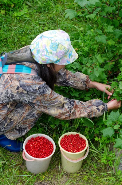 Yakut Asiatische Mädchen Mit Einem Rucksack Sitzt Vollen Eimern Mit — Stockfoto