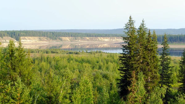 Panoramic view from the mountain to the turn of the Northern Yakut river Viluy among the steep banks of hills and spruce forest on the mountain with trees suit in the foreground.