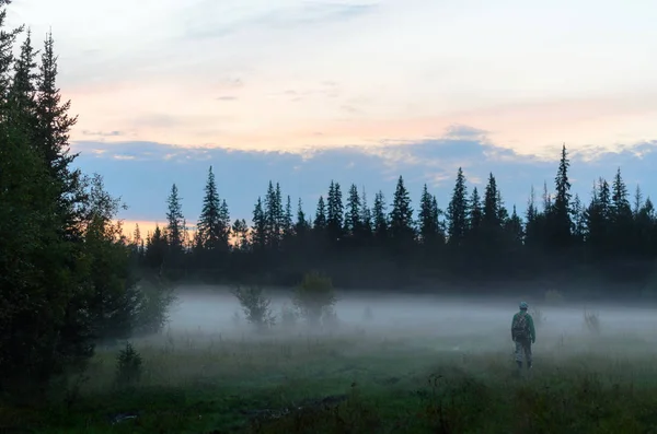 A tourist girl with a backpack goes into the white fog of swamps in the spruce forest in the evening at sunset in the wild taiga of the North of Yakutia in Russia.